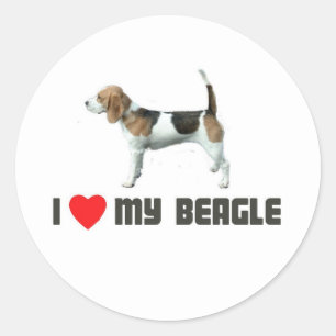 Sticker Rond J'aime mon Beagle