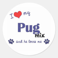 J'Aime Mon Carlin Mix (Chien Homme)