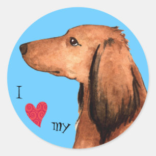 Sticker Rond J'aime mon Dachshund aux cheveux longs