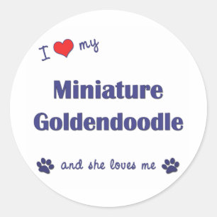 Sticker Rond J'aime mon Goldendoodle miniature (le chien