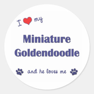 Sticker Rond J'aime mon Goldendoodle miniature (le chien