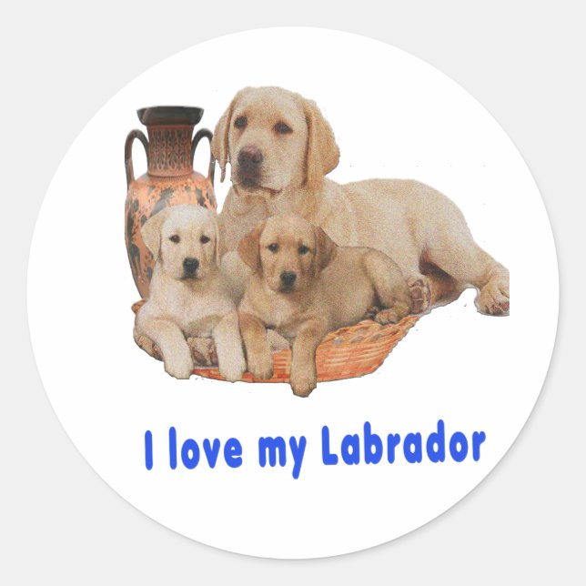 Sticker Rond J'aime mon Labrador (Devant)