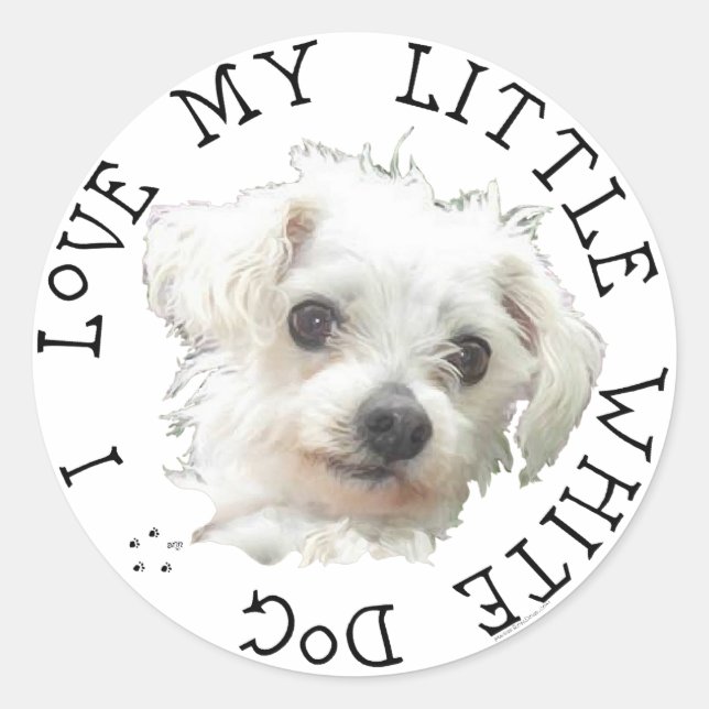 Sticker Rond J'aime mon petit chien blanc - Maltais (Devant)