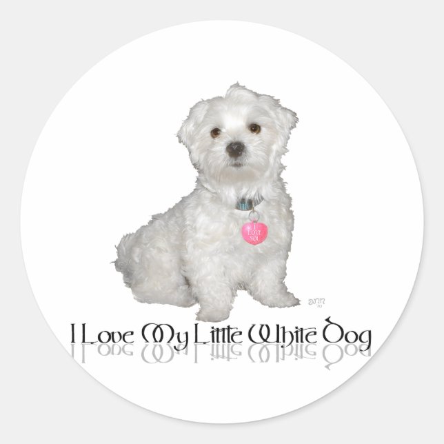 Sticker Rond J'Aime Mon Petit Chien Blanc - Maltais ! (Devant)