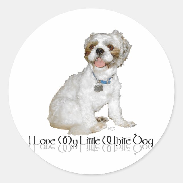 Sticker Rond J'aime mon petit chien blanc - Shih Tzu (Devant)