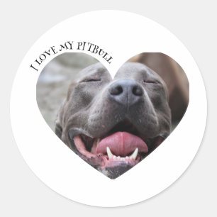 Sticker Rond J'aime mon pitbull chien photo personnalisée