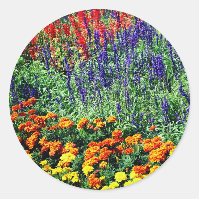 Sticker Rond Jardin de fleurs Beauté (Devant)