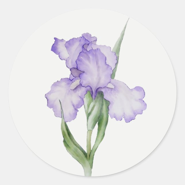 Sticker Rond Jardin de fleurs d'iris pourpre art floral (Devant)