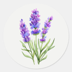 Sticker Rond Jardin de lavande violette art floral fleurs