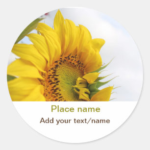 Sticker Rond Jardin de tournesol jaune ajouter photo nom du tex