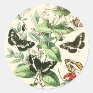Sticker Rond Jardin des papillons et des fleurs
