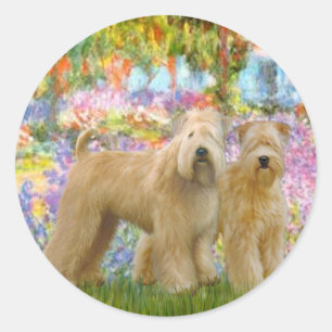 Sticker Rond Jardin - Deux Terriers Wheaten