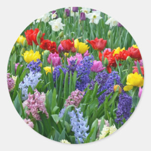 Sticker Rond Jardin fleuri coloré