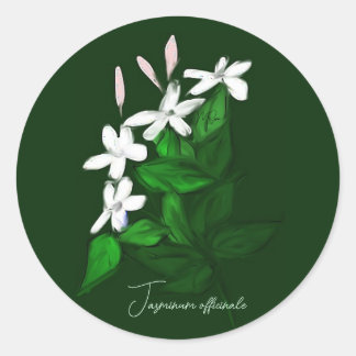 Sticker Rond Jasmine