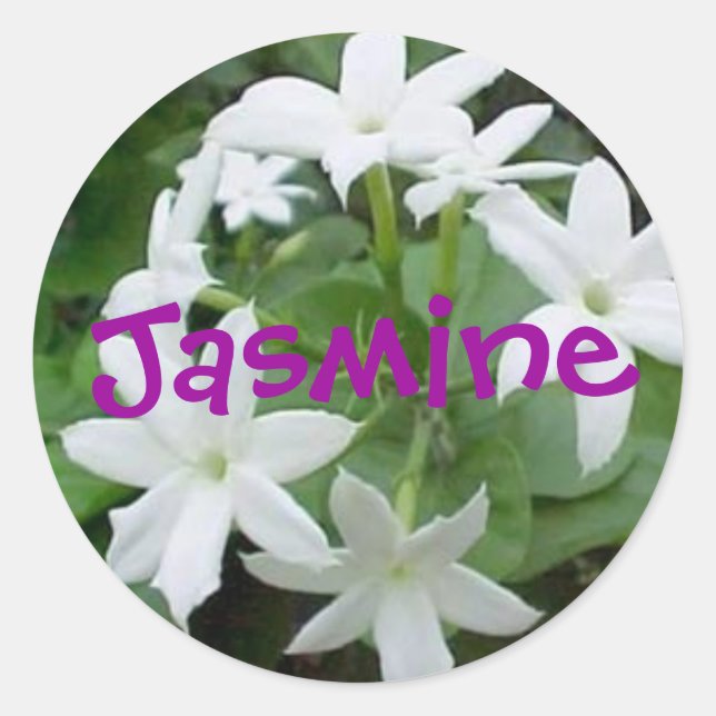 Sticker Rond Jasmine (Devant)