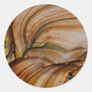 Sticker Rond Jasper de Deschutes de couleur marron