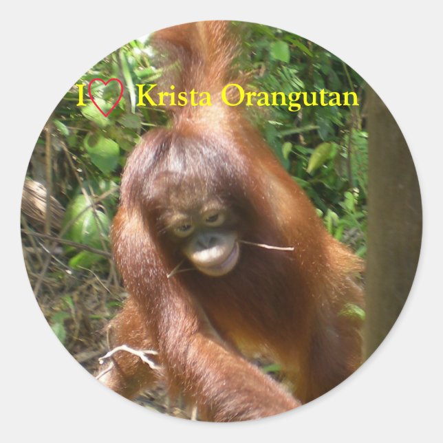Sticker Rond J'Coeur Orangutans (Devant)
