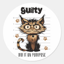 Je l'ai fait dans le but - drôle chat