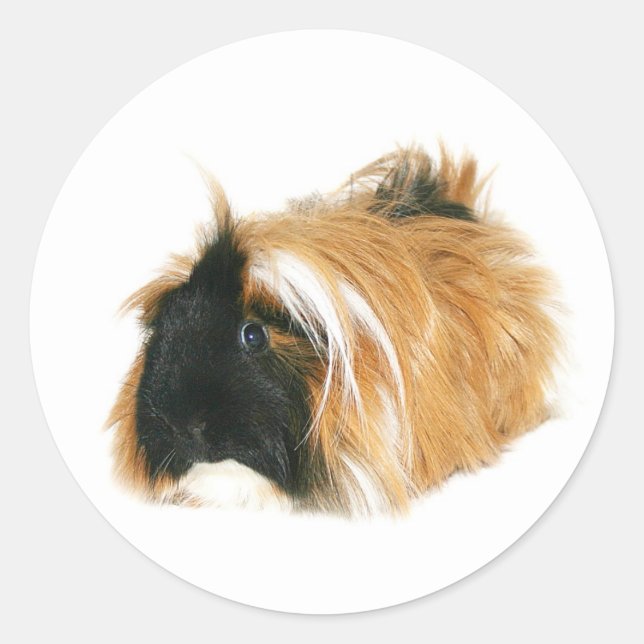 Sticker Rond Je ne suis pas un tribble (Devant)