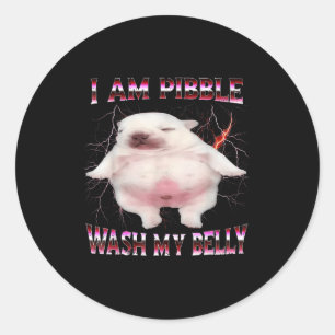 Sticker Rond Je suis capable de laver mon ventre Mème de chien