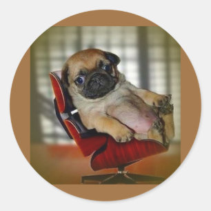 Sticker Rond Je suis un Pugger !