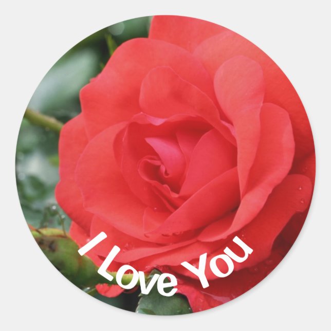 Sticker Rond Je T'Aime Fleur Rose Rouge  (Devant)