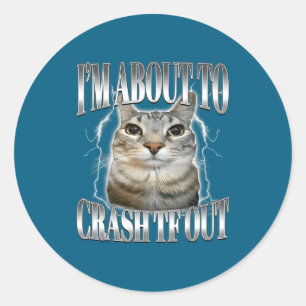 Sticker Rond Je vais bientôt m'écraser Drôle de chat qui fixe B