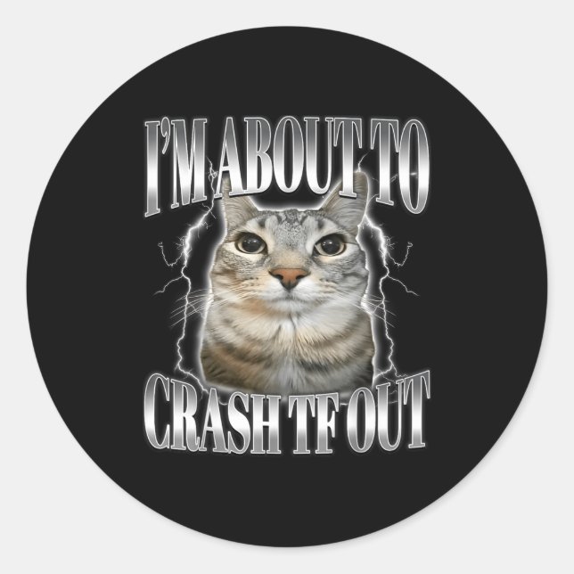 Sticker Rond Je vais m'écraser Drôle de chat qui fixe Brainrot  (Devant)