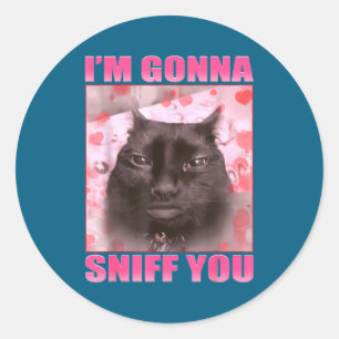 Sticker Rond Je vais vous renifler Mème de chats drôles Femmes