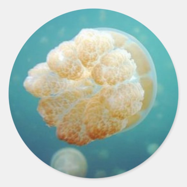 Sticker Rond Jelly (Devant)