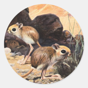 Sticker Rond Jerboa Tee - shirts et cadeaux