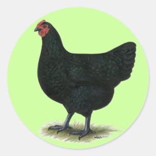 Sticker Rond Jersey Giant : Black Hen