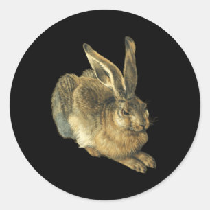 Sticker Rond Jeune Lièvre Feldhase Par Albrecht Durer