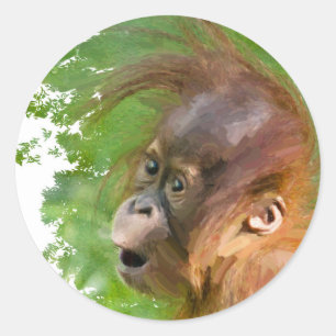 Sticker Rond Joli bébé orangoutan regarde en émerveillement