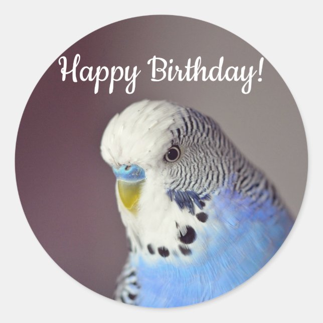 Sticker Rond Joli Blue Budgie photo Anniversaire (Devant)