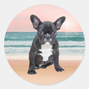 Sticker Rond Joli Bouledogue Français Plage Soleil Eau
