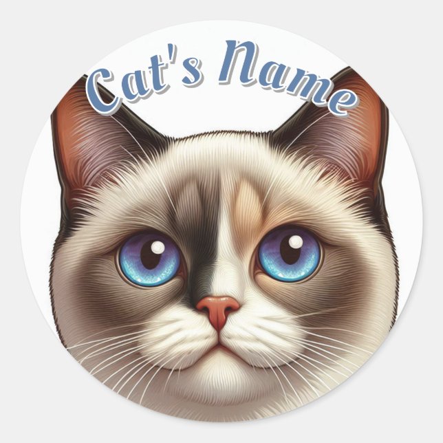 Sticker Rond Joli Calico Siamese Chat aux cheveux courts ・ Ajou (Devant)