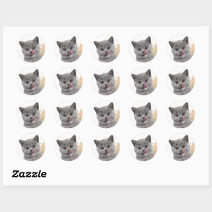 Sticker Rond Joli chat