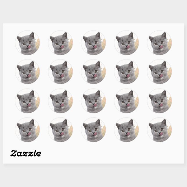 Sticker Rond Joli chat  (Feuille)