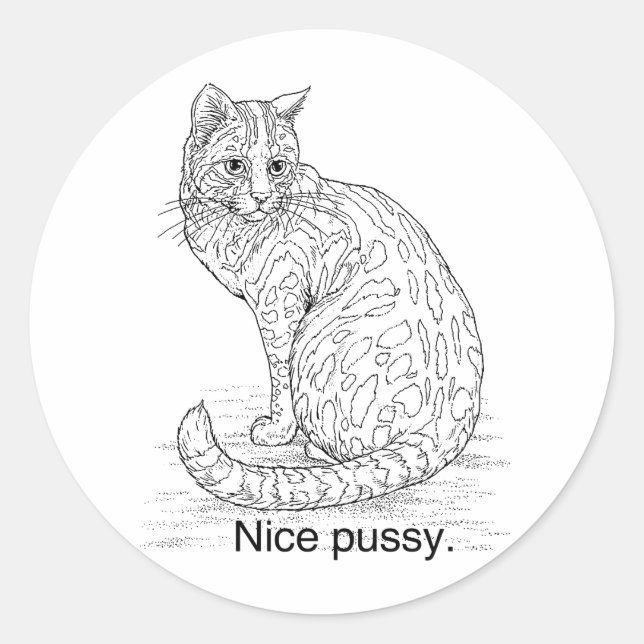 STICKER ROND JOLI CHAT (Devant)