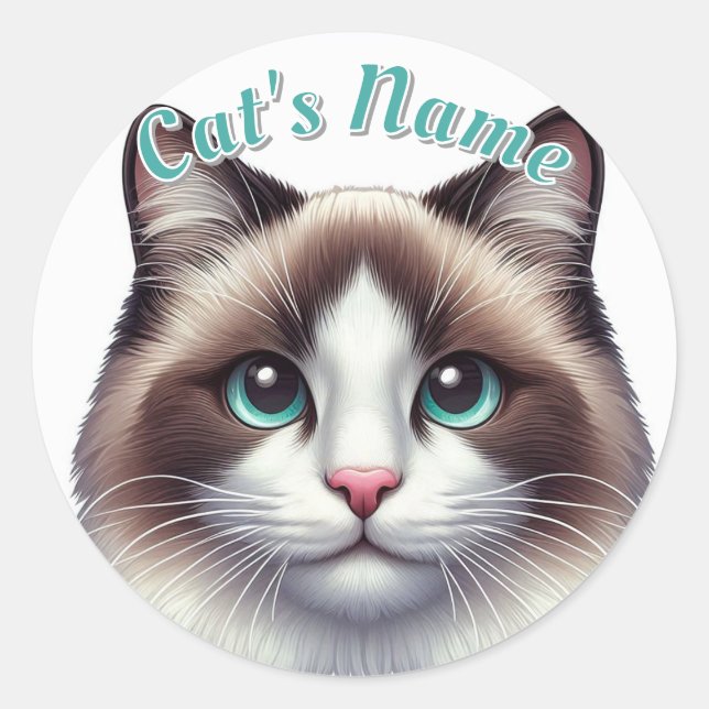 Sticker Rond Joli chat Birman ou Ragdoll ・ Personnalisé (Devant)