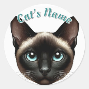 Sticker Rond Joli Chat Siamais aux cheveux courts ・ Personnalis