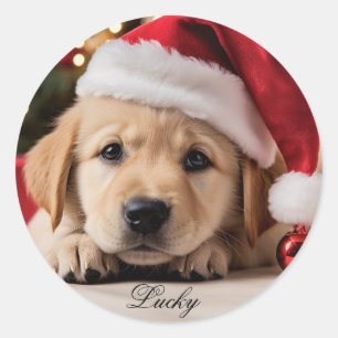 Sticker Rond Joli chiot. Chiot de Noël Retriever