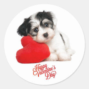 Sticker Rond Joli chiot Heureuse Sainte-Valentin
