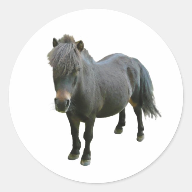 Sticker Rond Joli Dartmoor Pony (Devant)