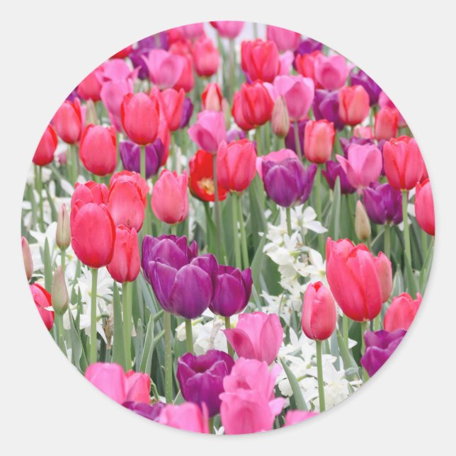 Sticker Rond Joli en Pétales Roses (Devant)