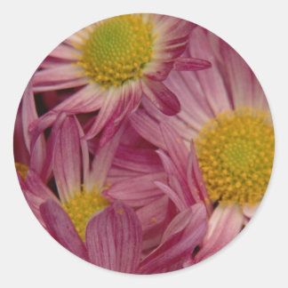 Sticker Rond Joli En Rose : Sceau D'Enveloppe