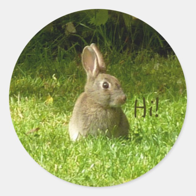 Sticker Rond Joli lapin ! (Devant)