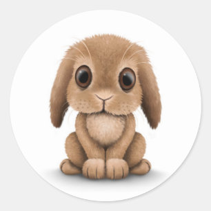 Sticker Rond Joli lapin lapin Brown sur blanc