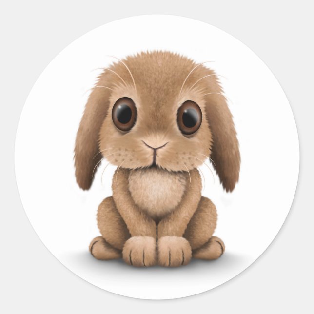 Sticker Rond Joli lapin lapin Brown sur blanc (Devant)